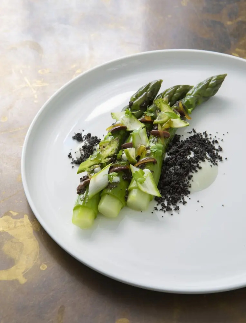 Hôtel de Tourrel, Saint Rémy de Provence, a Member of Design Hotels