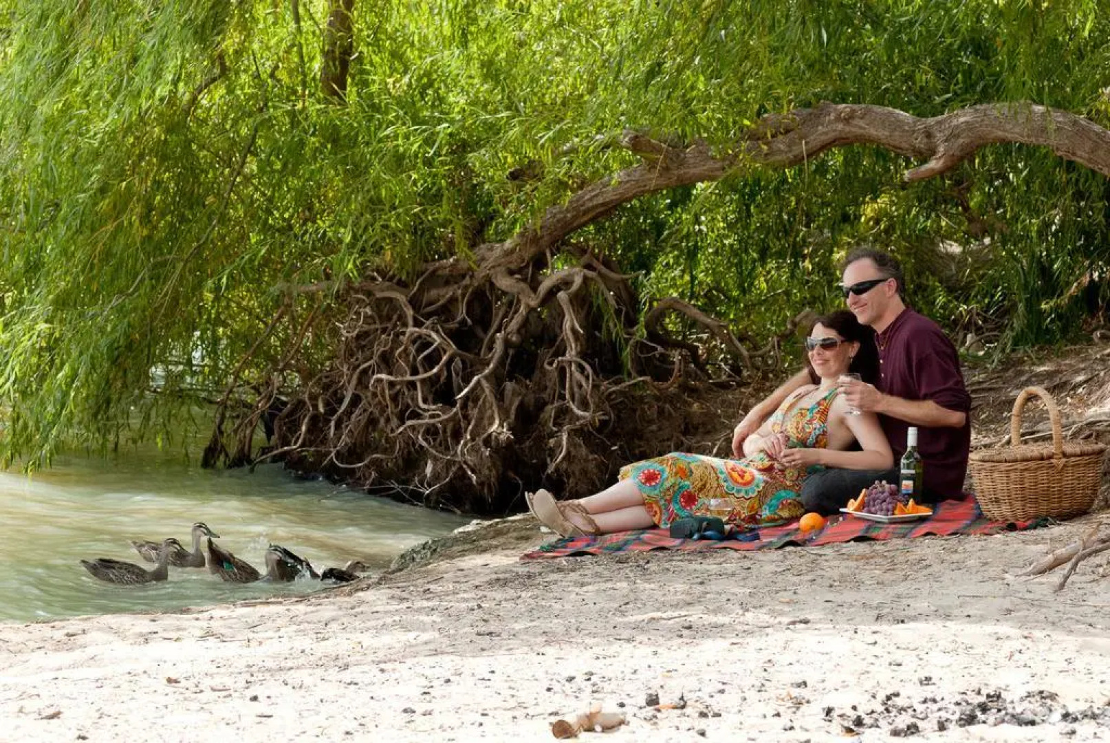 Riverview Rise Retreats