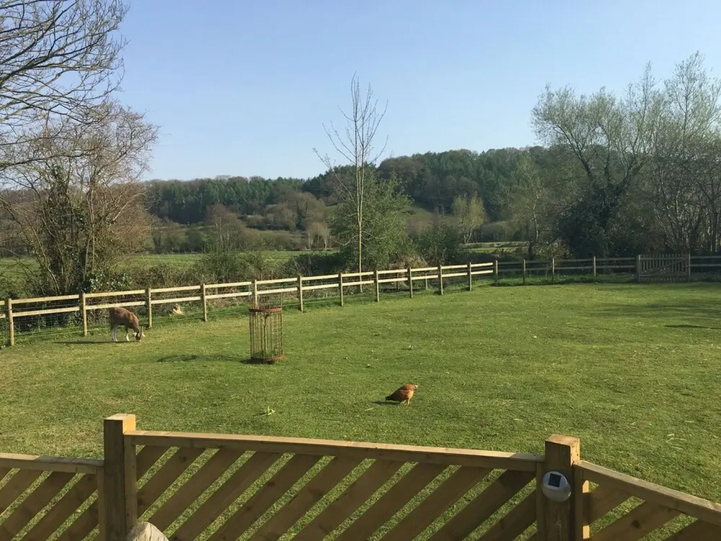 The Hut at Dinnington