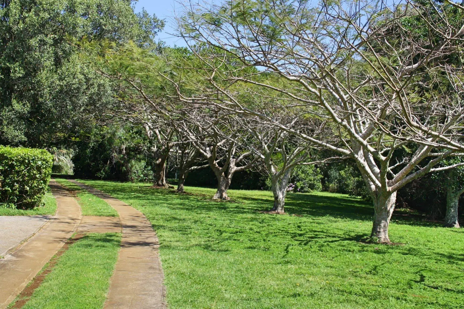 Tau Gardens