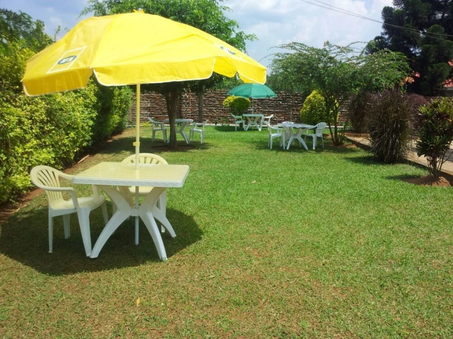 Rena Akasha Establishments