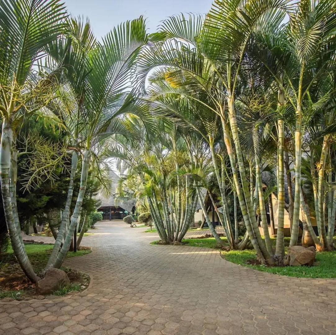 Sandy's Creations Resort