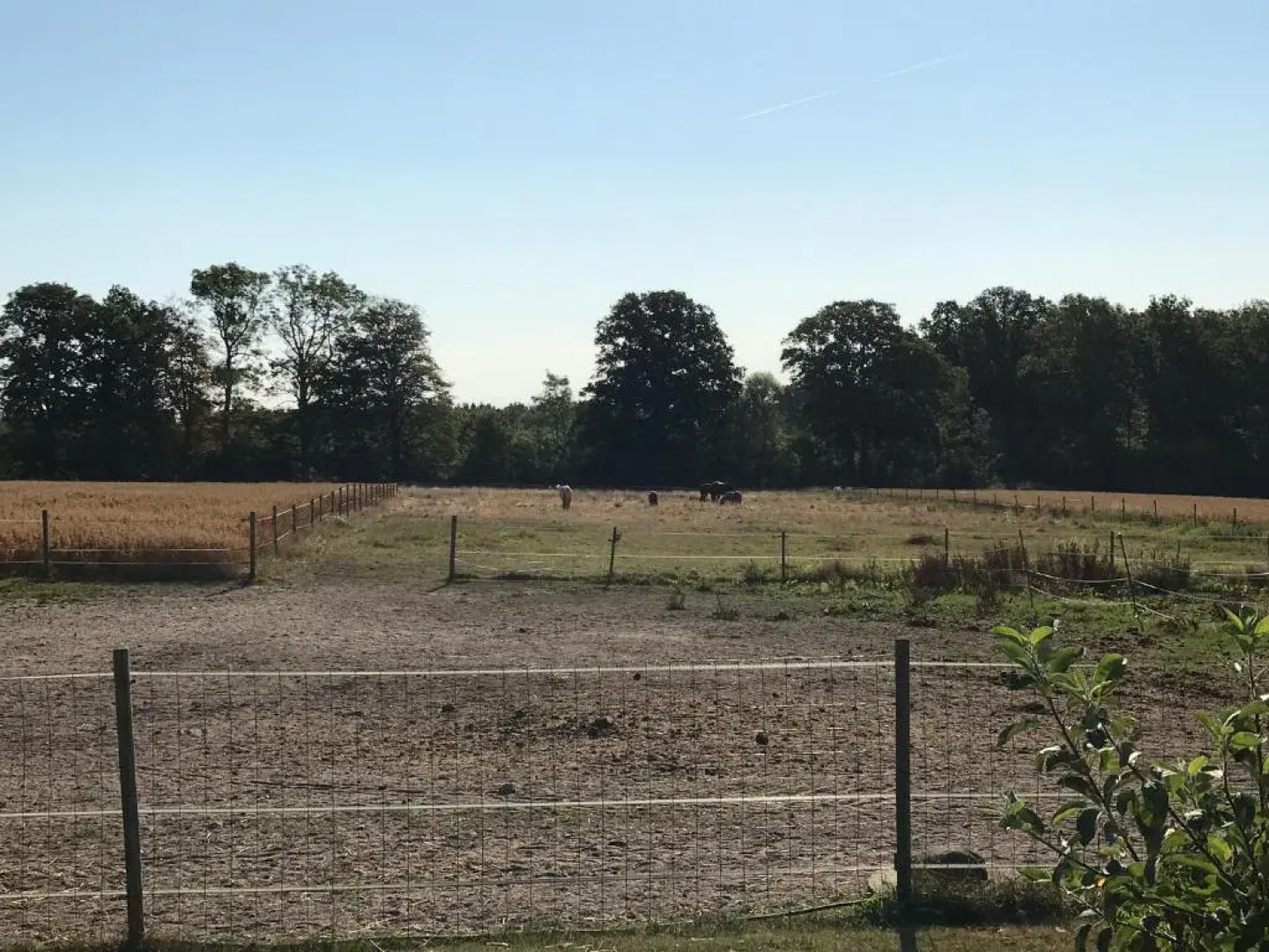 SIMPLE LIVING - Beds 190 cm - Dogs welcome on request - CARAVAN - COSY FARM BnB