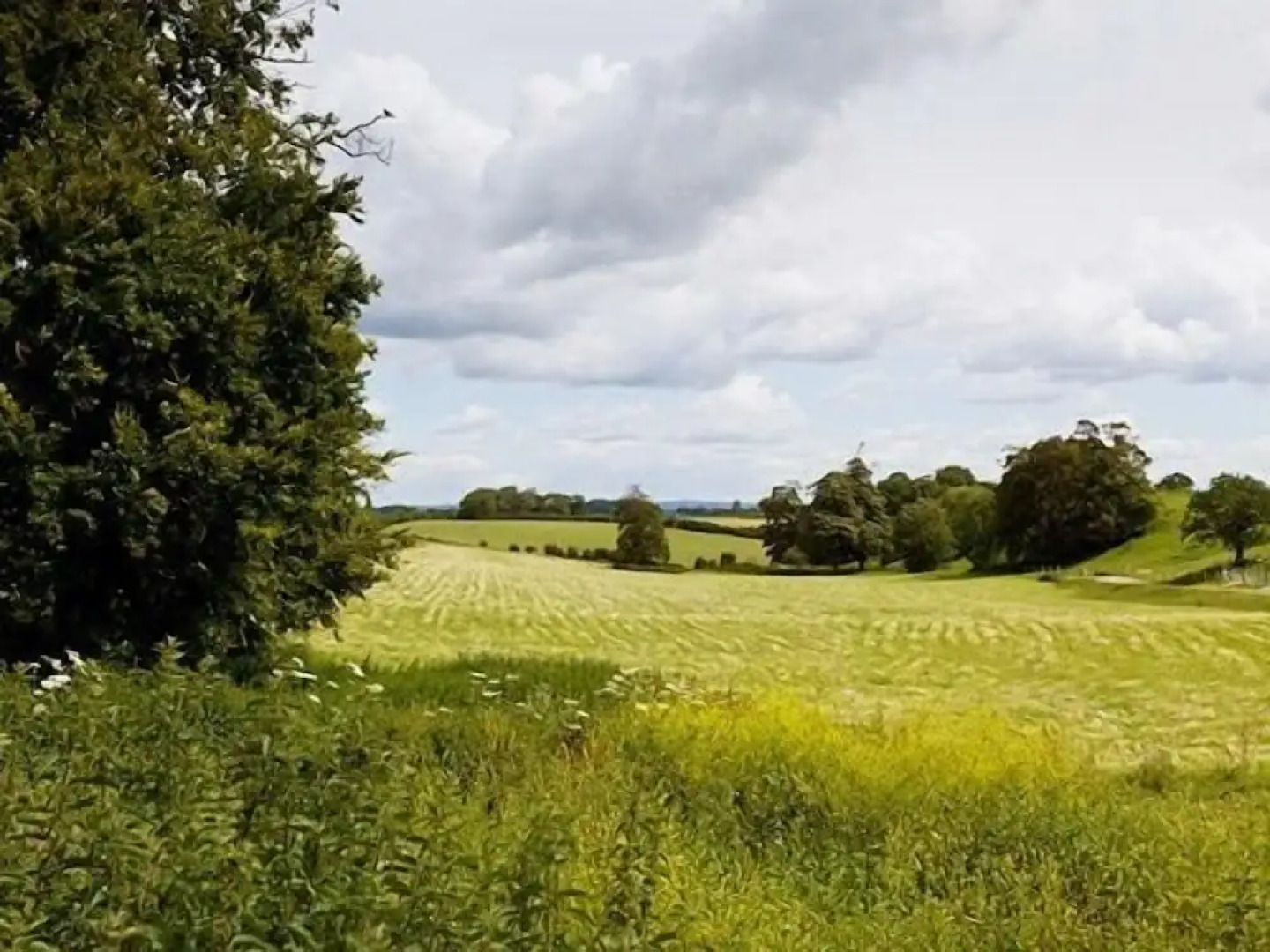 The Blacksmiths Arms