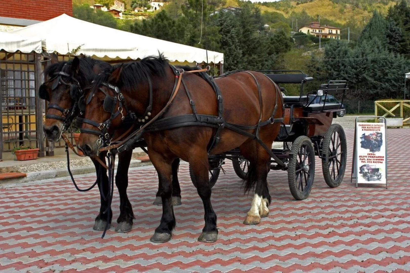 Hotel La Cima Trasimena