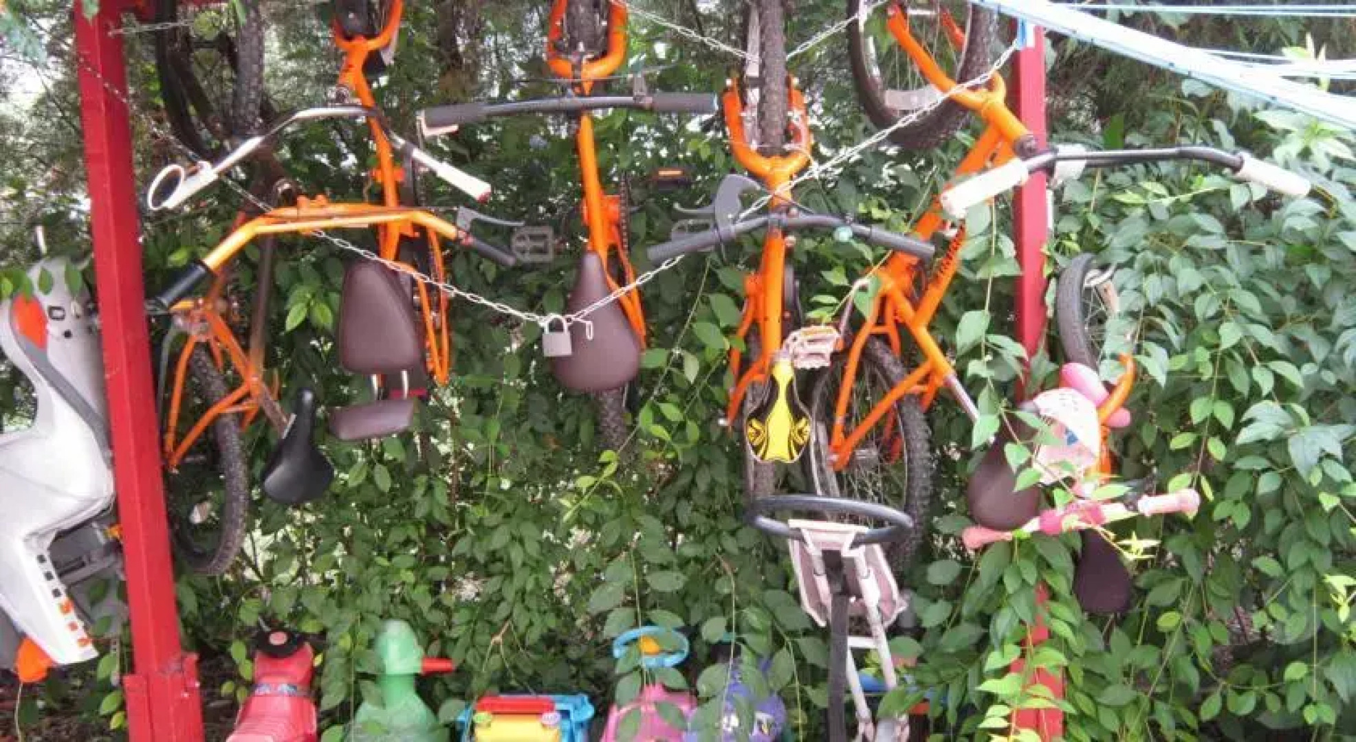 Kis Szárcsa Vendégház