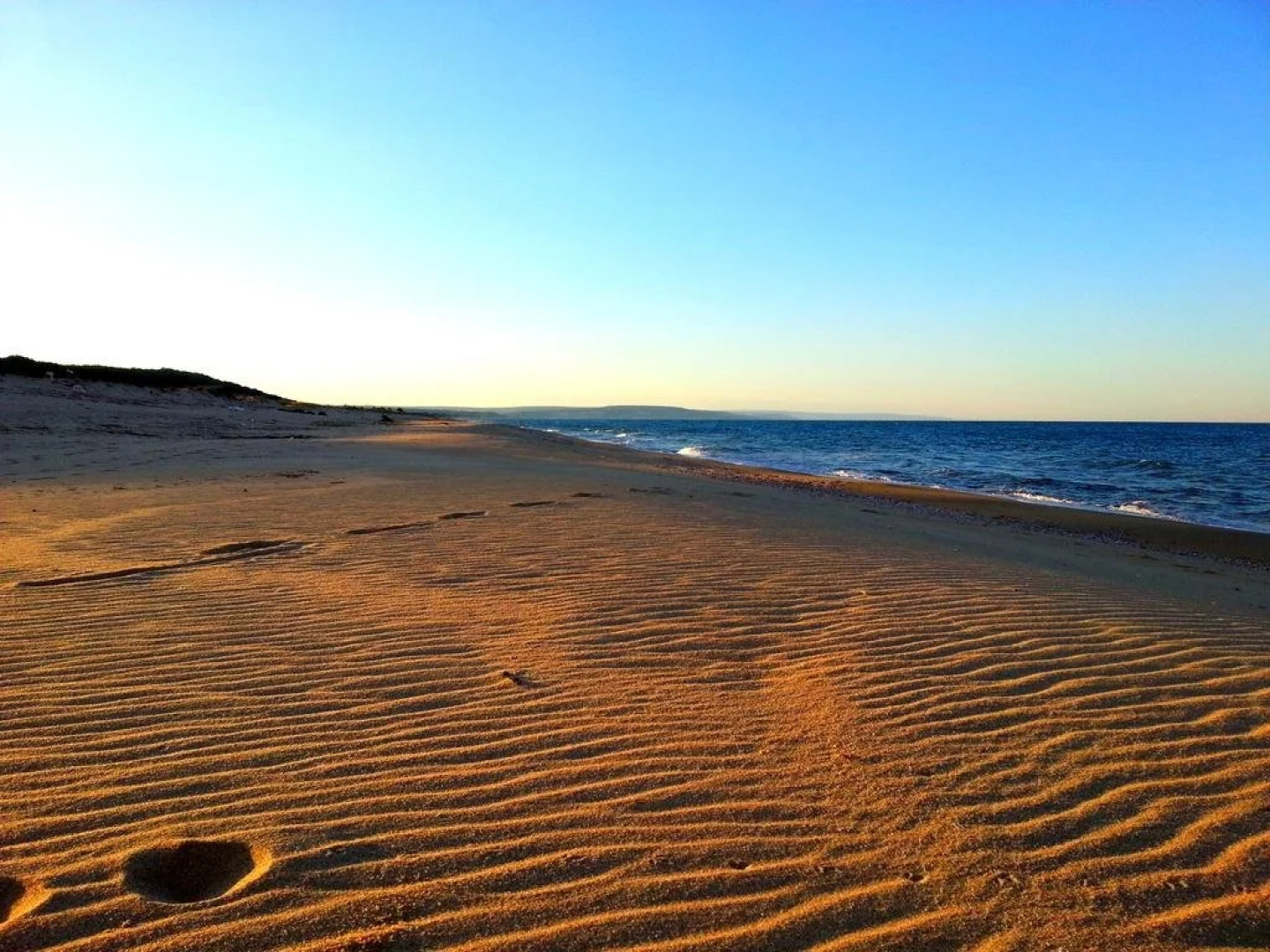 Aparthotel Alexander