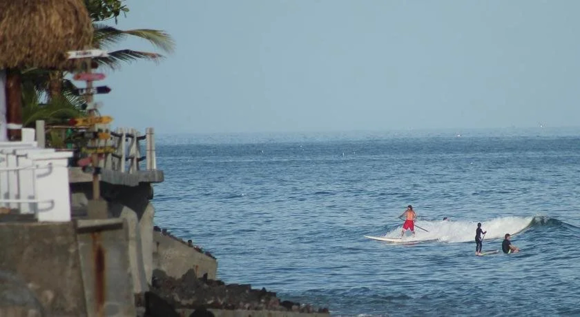 Panama Beach Lodge - Hostel - Adults Only