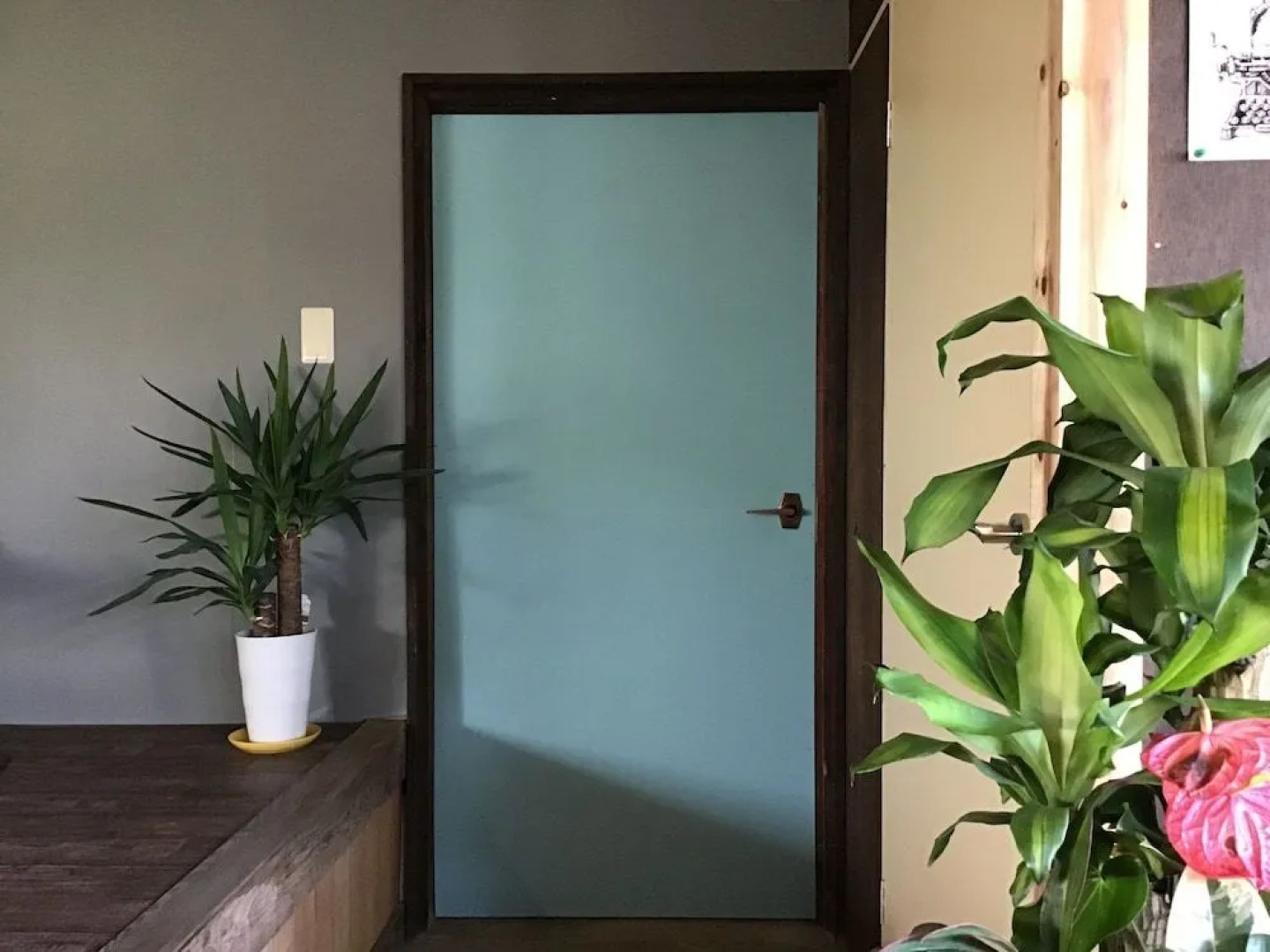 Trip Base Coconeel - Hostel