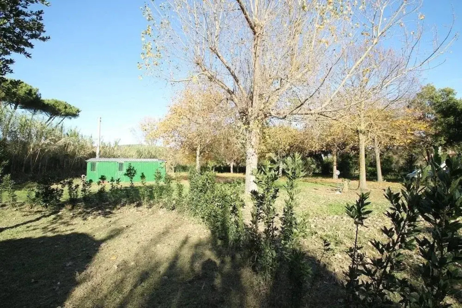 Agriturismo Borgo Podernovo