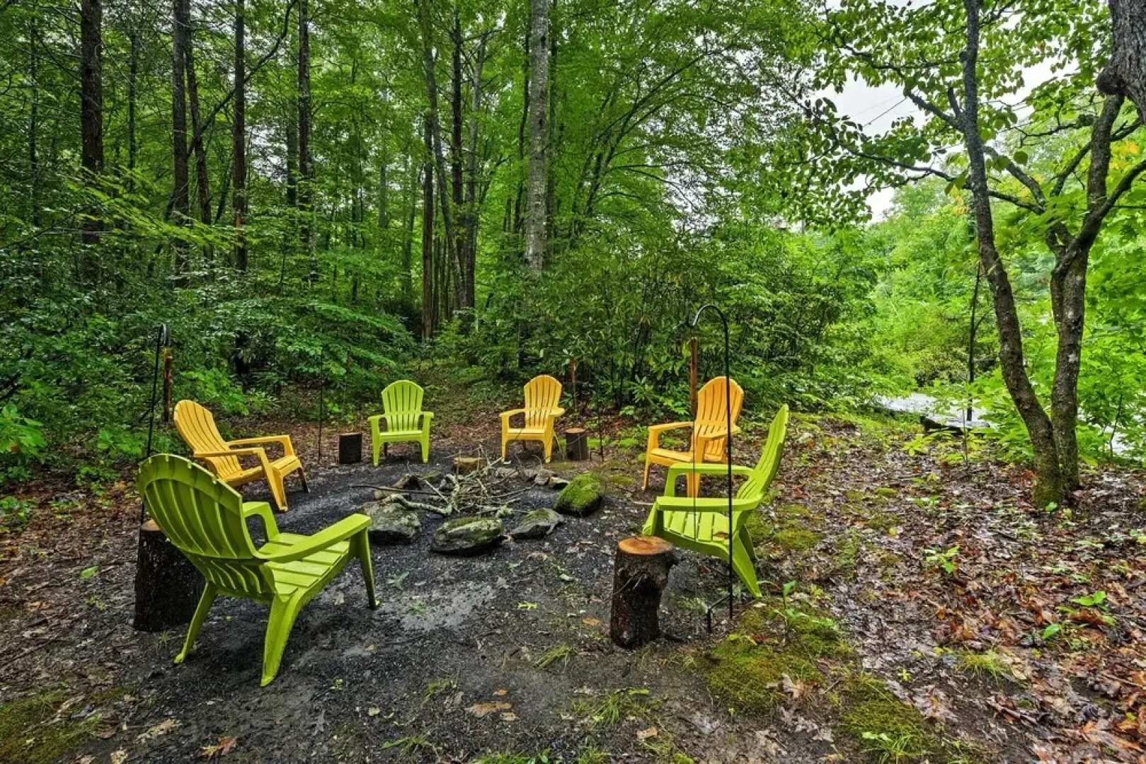 Serene Creekside Cottage Near Mount Pisgah!