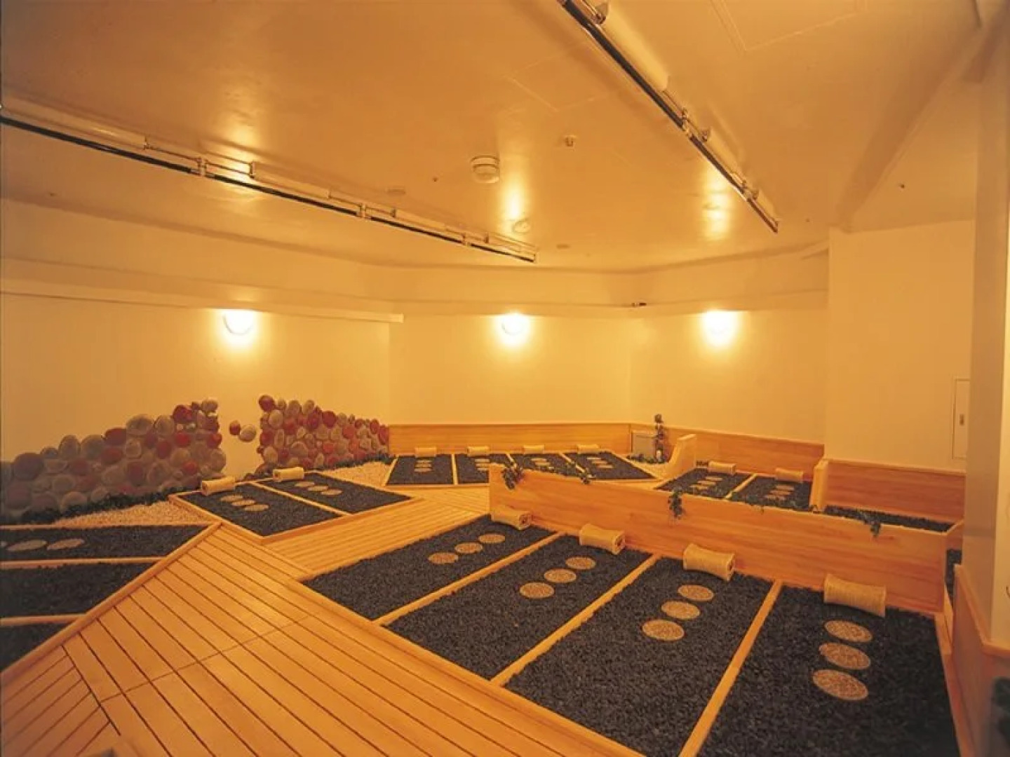 Hotel de Premiere Minowa