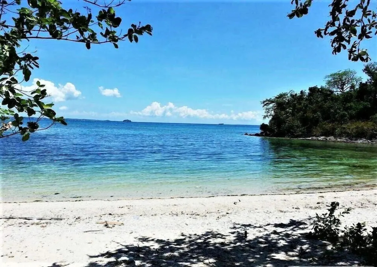 Zhang Resort and Dive Center OPC