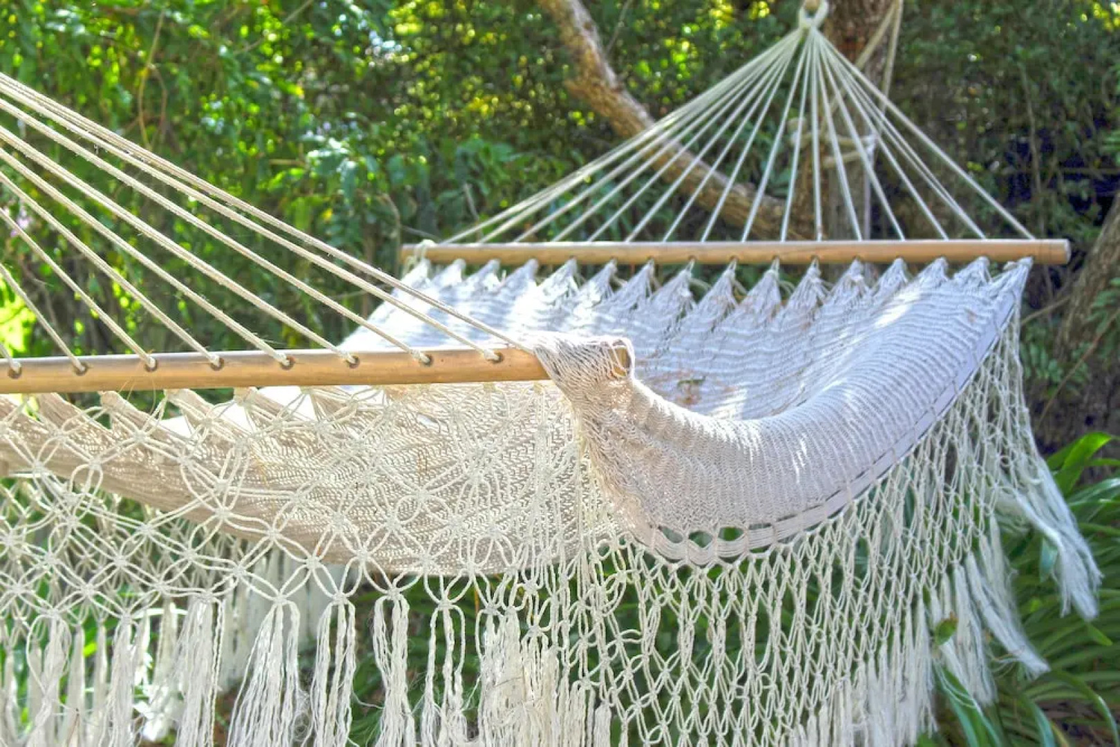 Tilba Lake Camp - Glamping