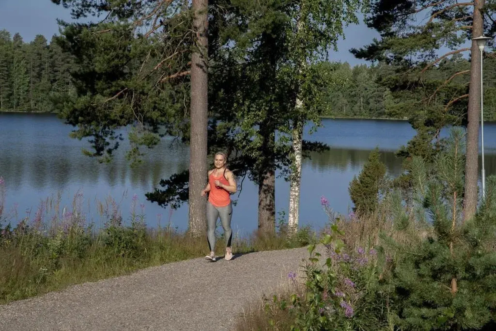 Hotelli Mesikämmen Oy