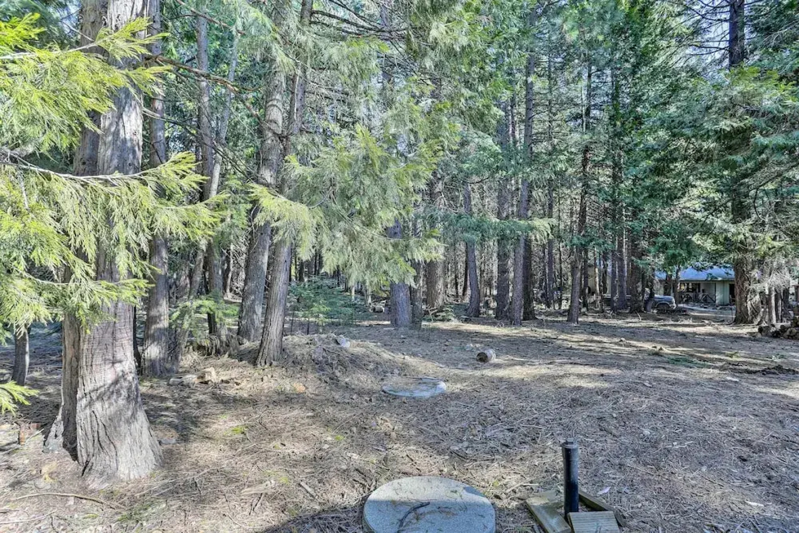 Base Camp Lassen Home 13 Mi to Volcanic Nat'l Park