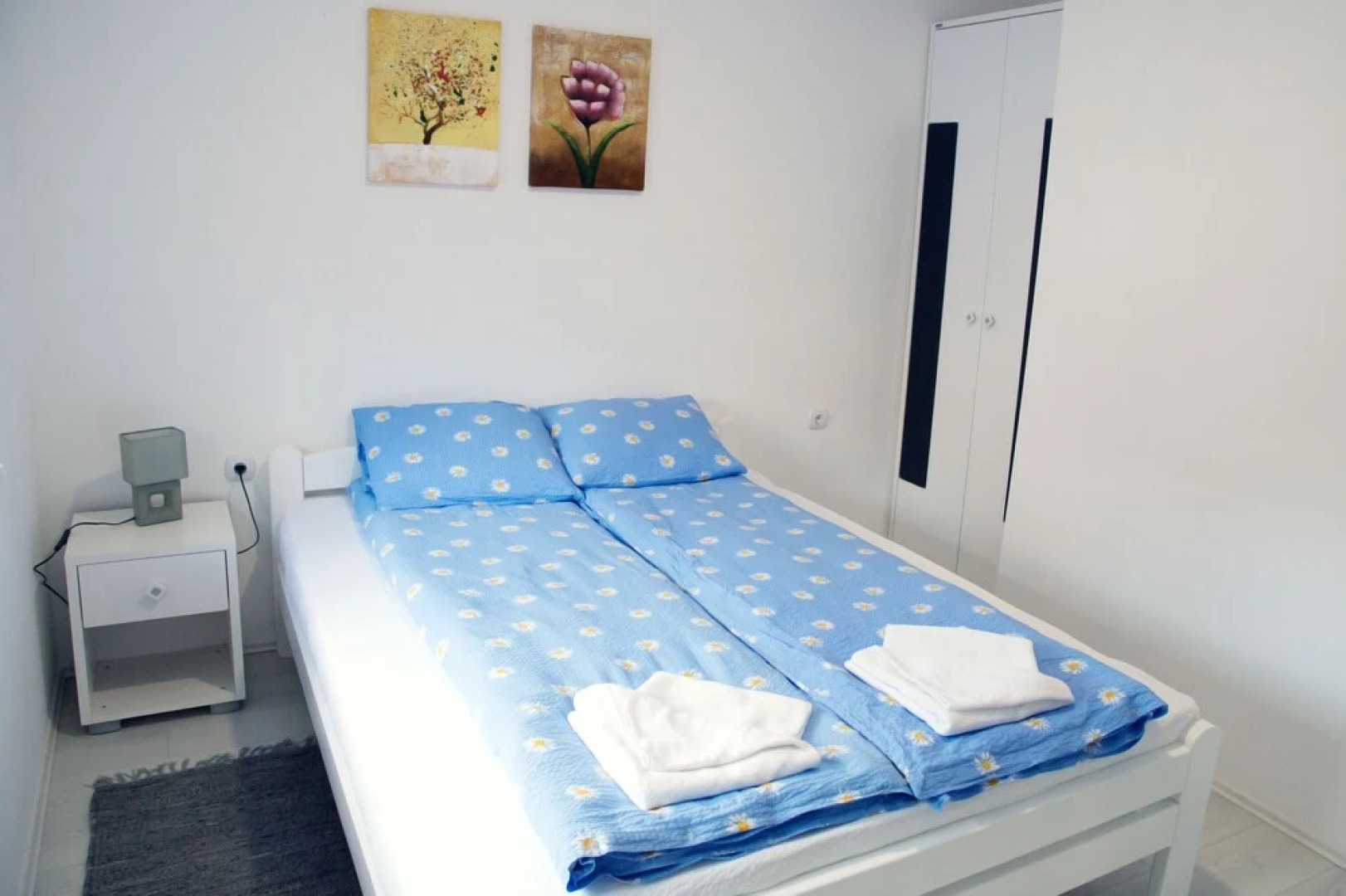 Apartmani Velickovic