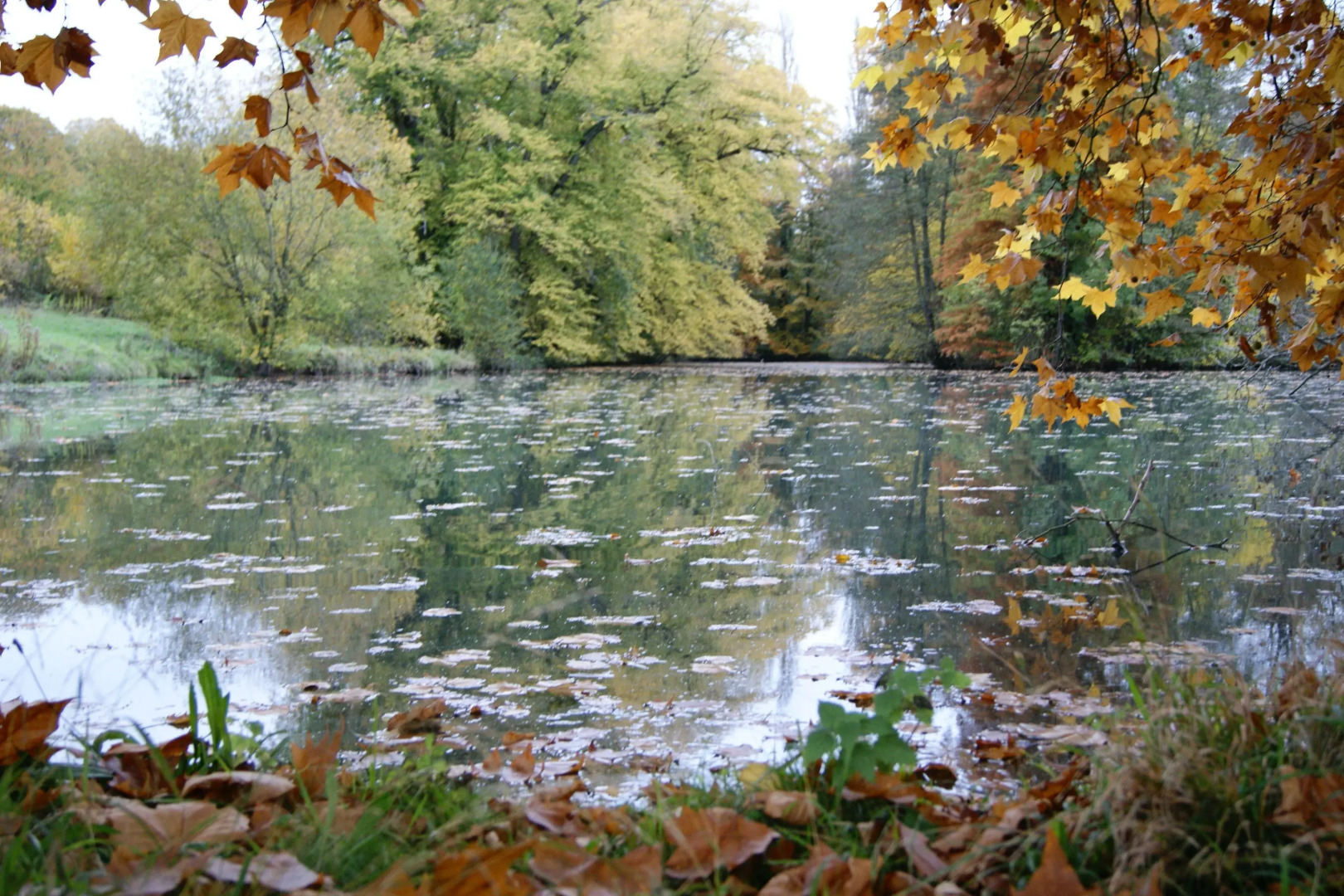 Château de la Bûcherie