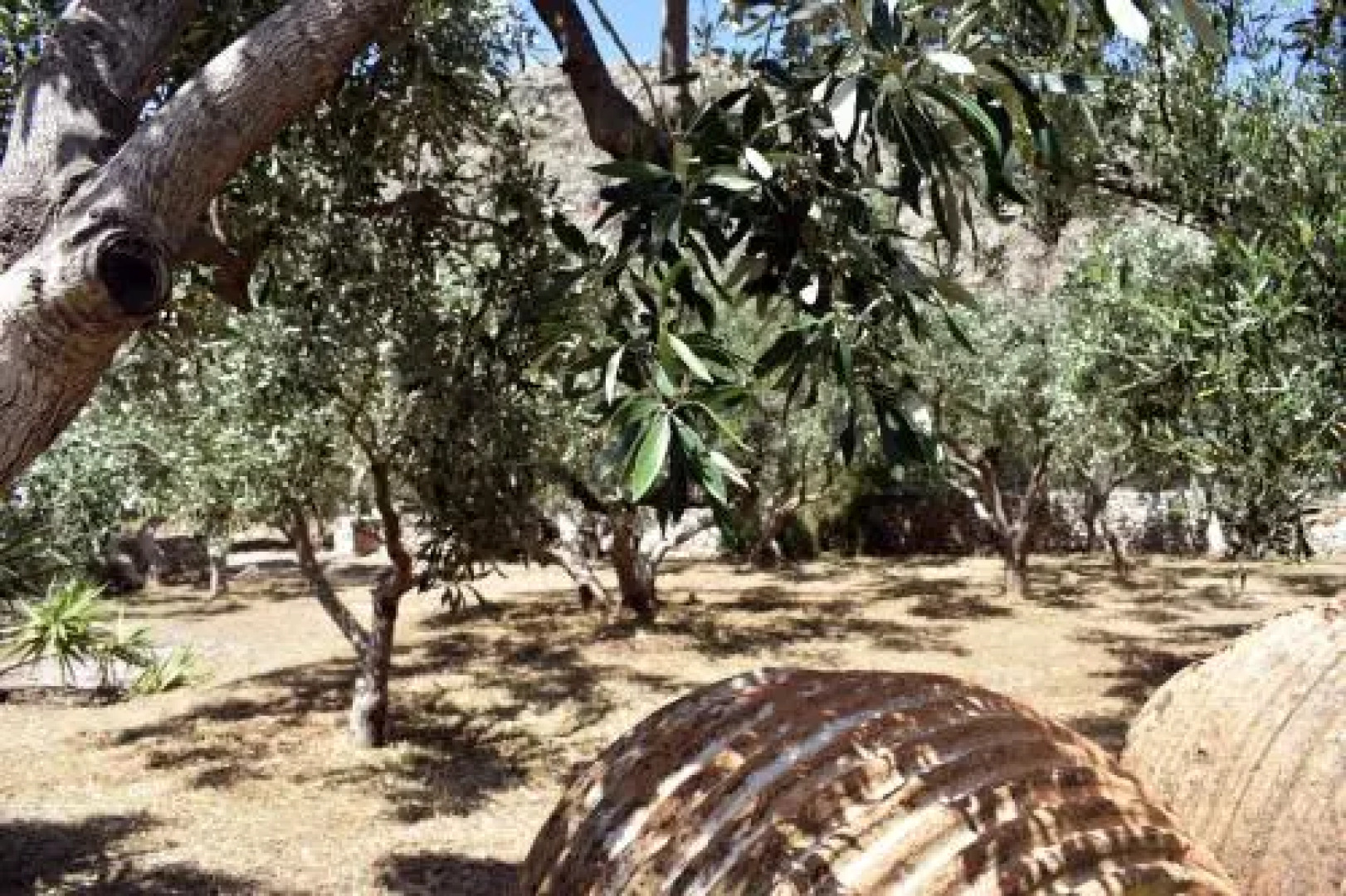 Akroyiali Apartments