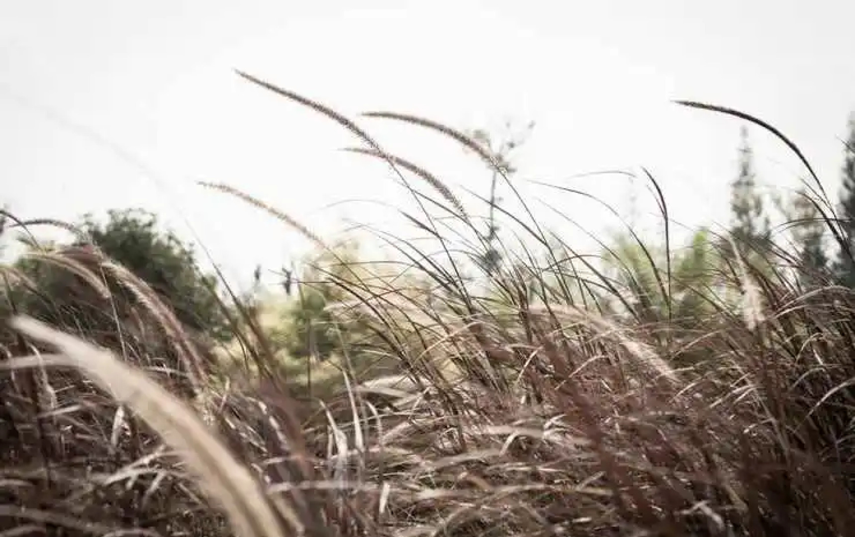 The Natural Garden - Khao Soi Dao -