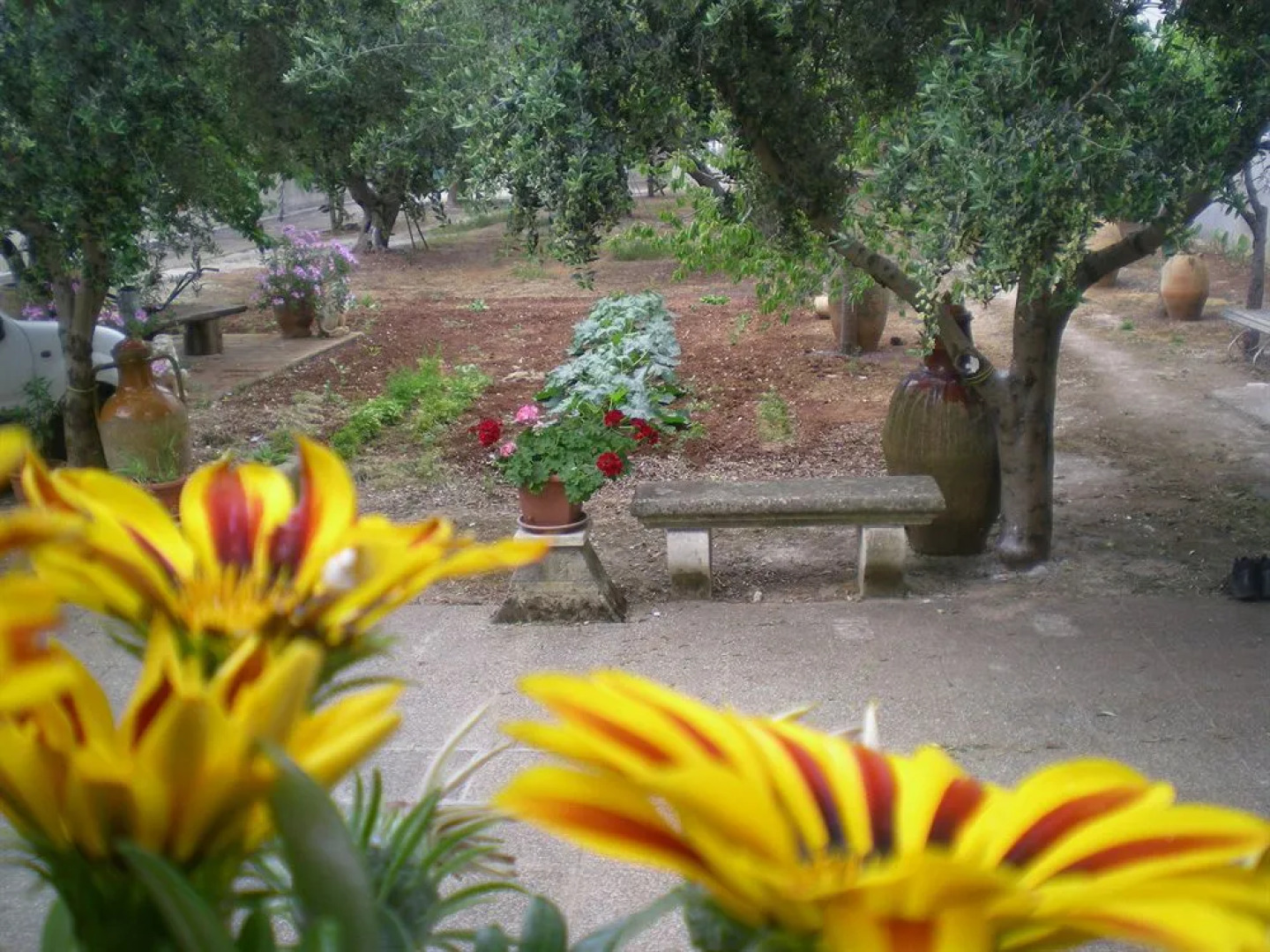Il Giardino