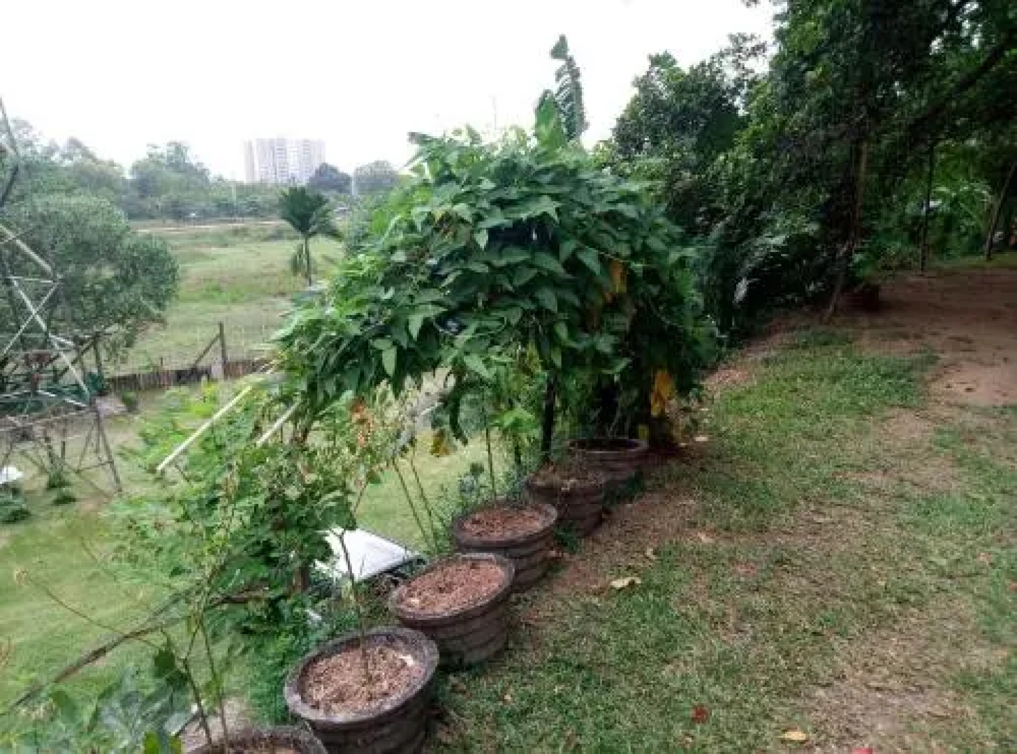 Coca Cola Hostel Malabe