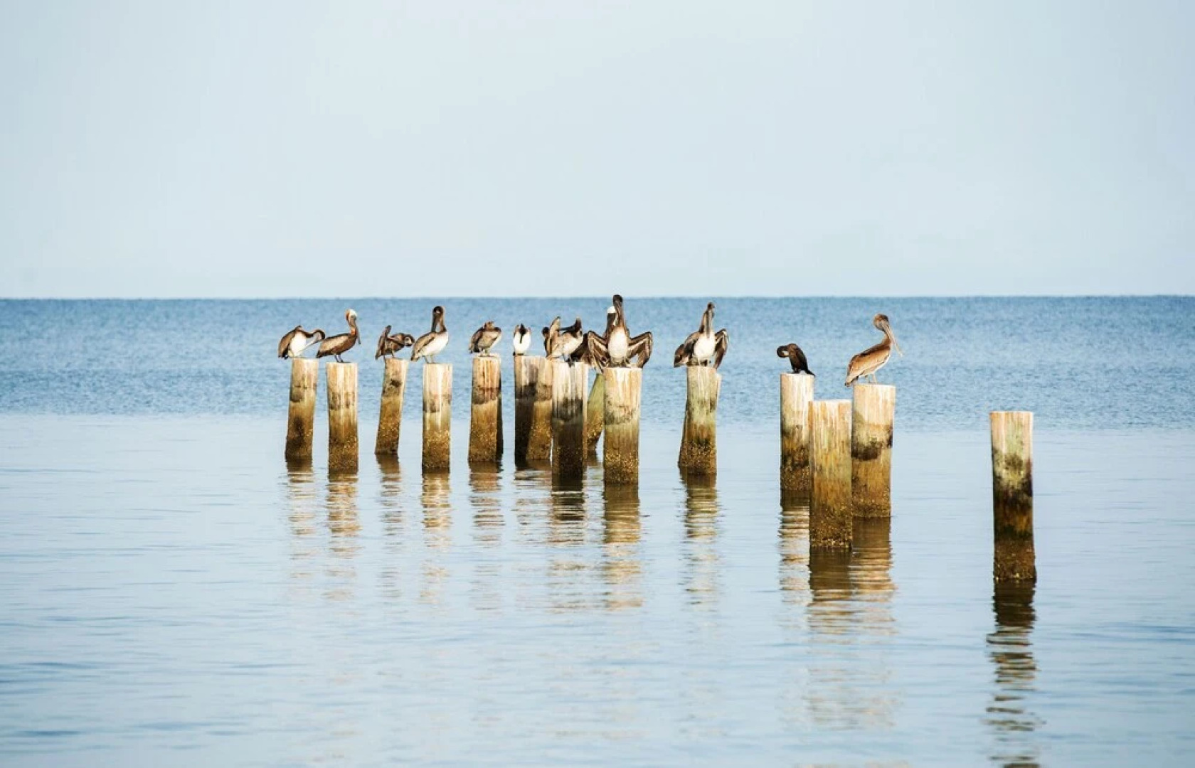 Tuscan Vacation Rental