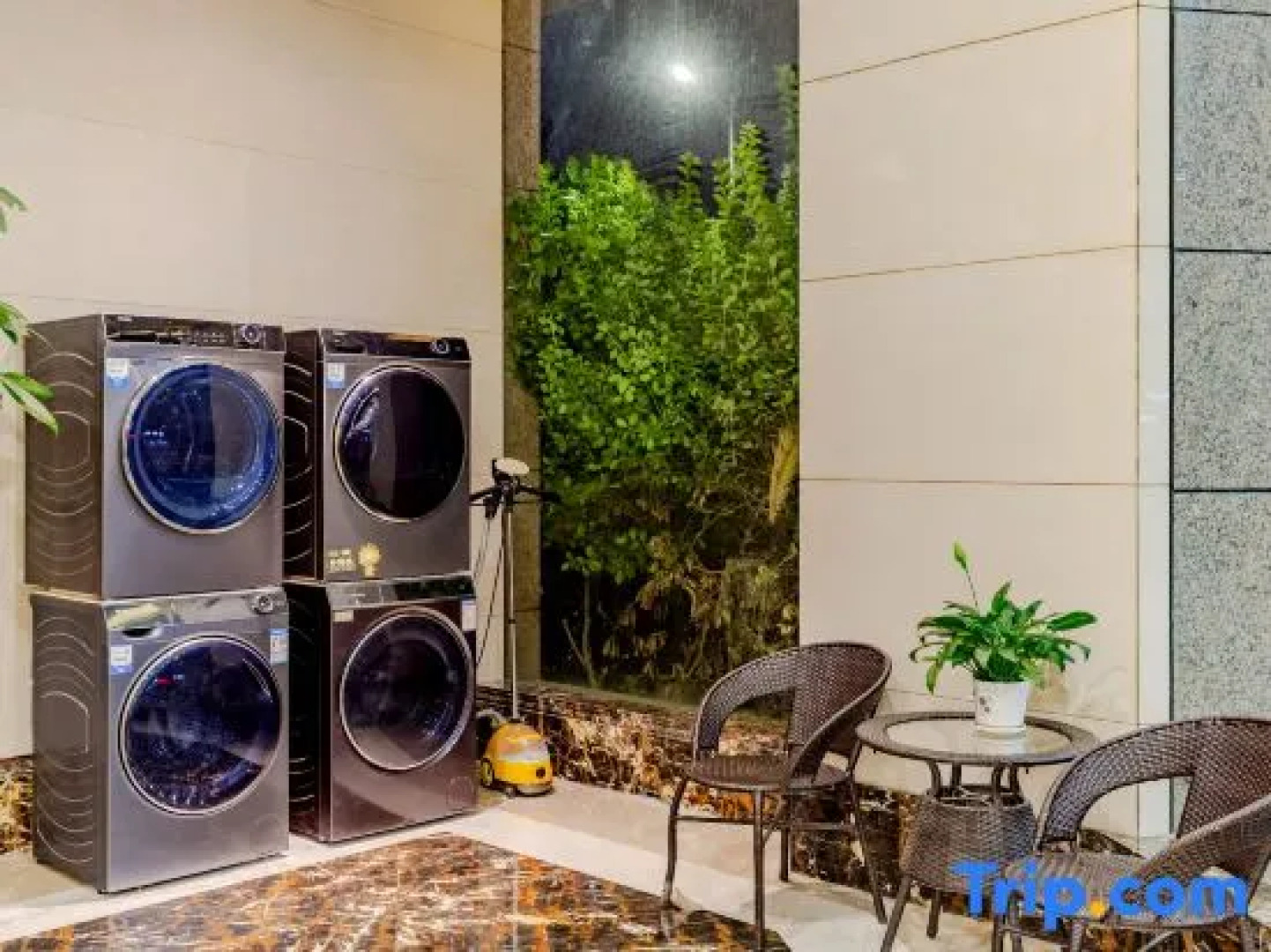 Buckingham Palace Hotel - Fuyang