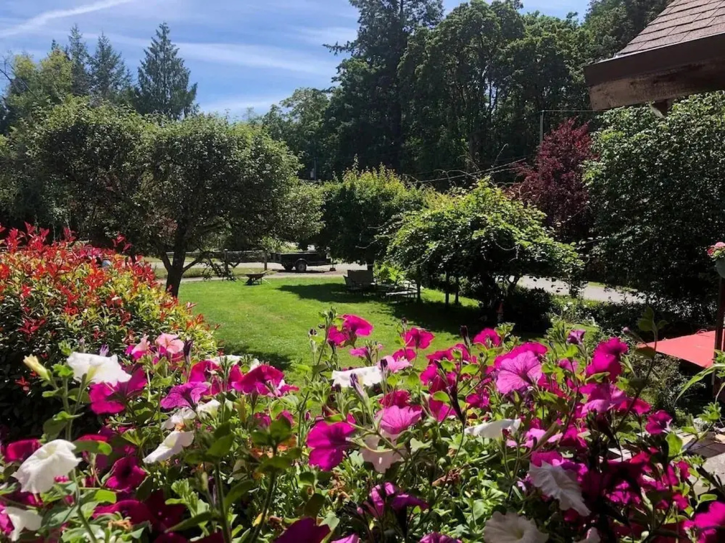 Cole's Bay Vacation Retreat Library Room