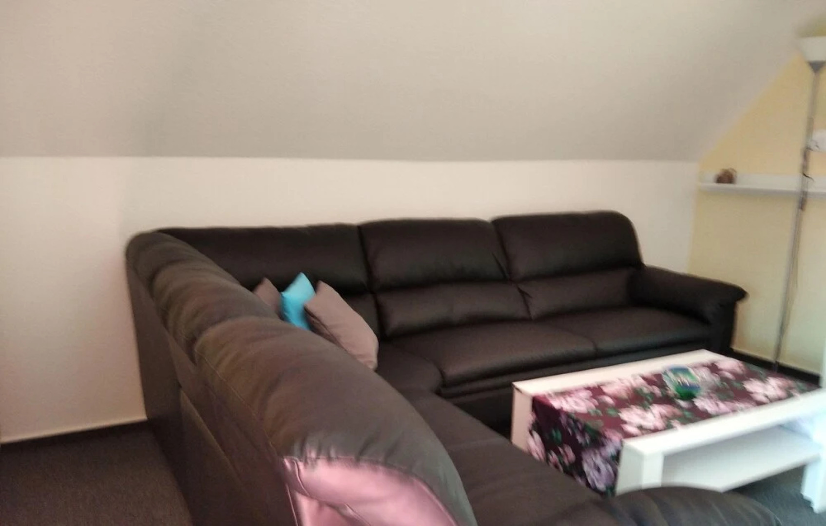 Komfortable-Ferienwohnung-in-Waabs-Ostsee-Damp-Eckernfoerde