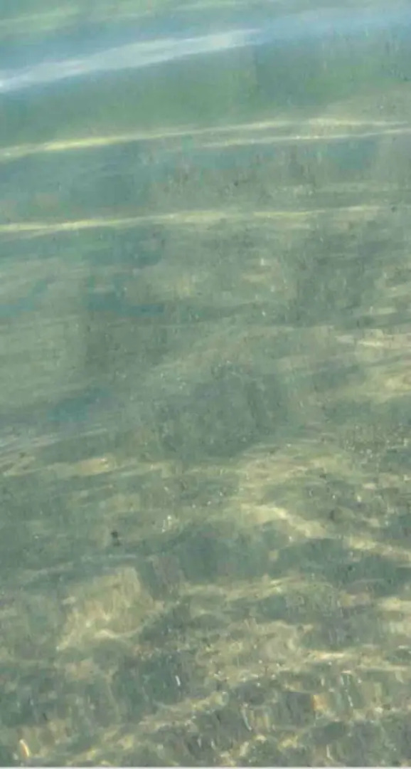 Le Ptit Canada Escape