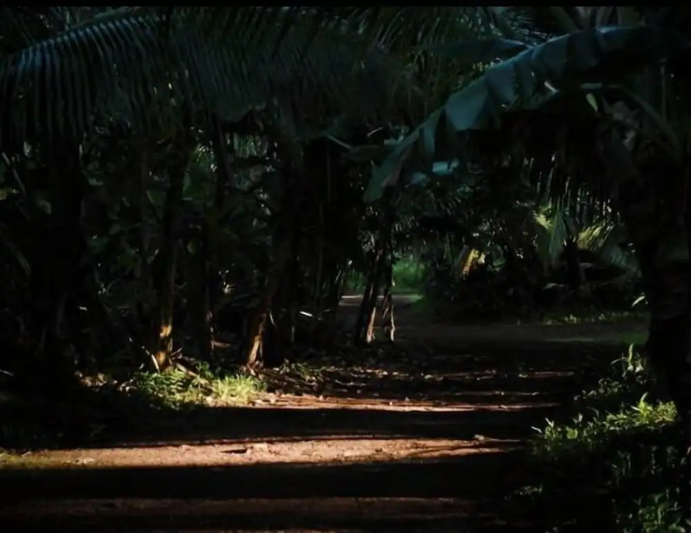 Cinderland EcoVillage - Hostel