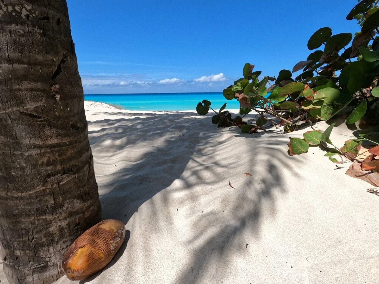 La Cuna del Daiquiri Boutique Hotel