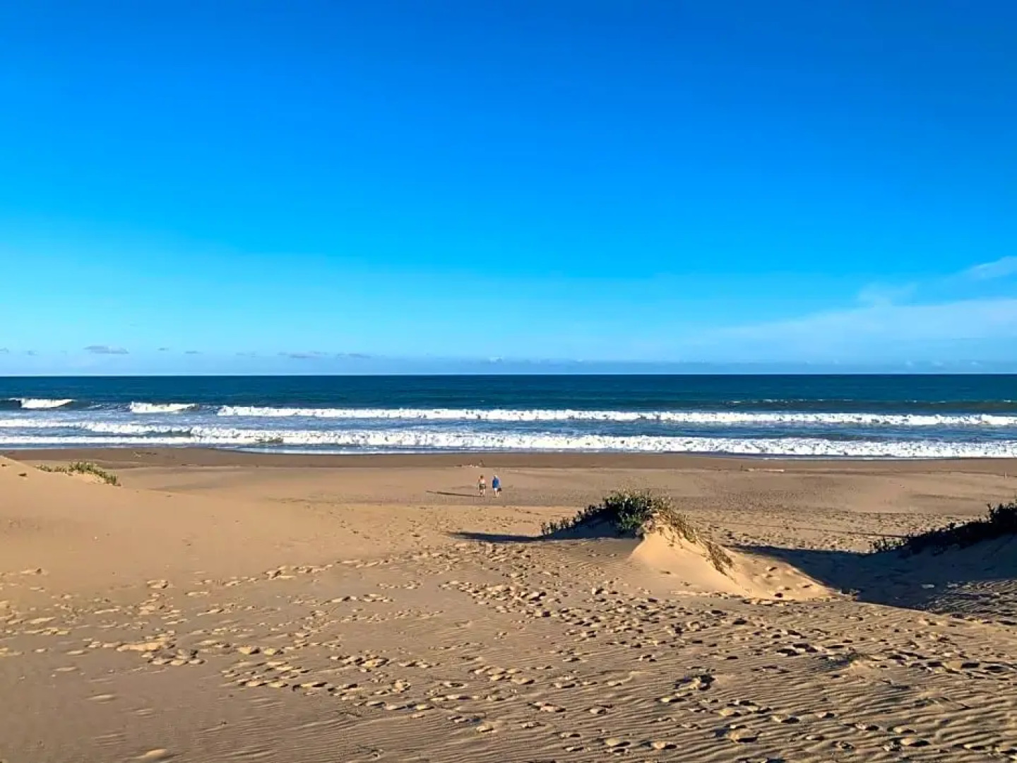 Mtunzini Forest Lodge Self Catering