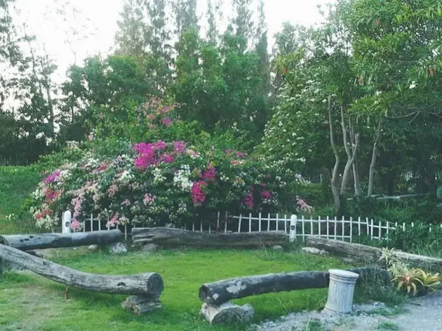 Sanita Cottage
