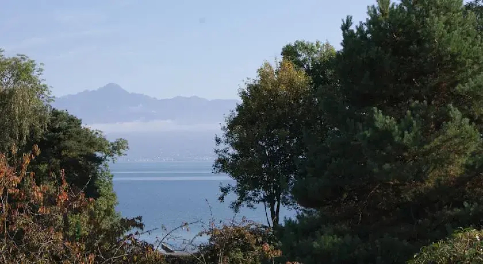 BB&B (Beach Bed & Breakfast)