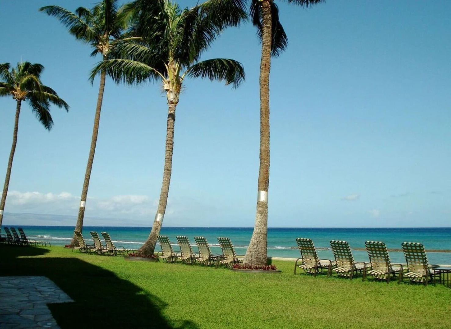 Paki Maui 207 by RedAwning