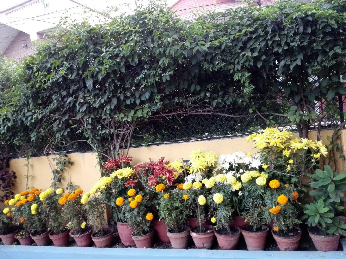 Sagarmatha Apartment Bed & Breakfast