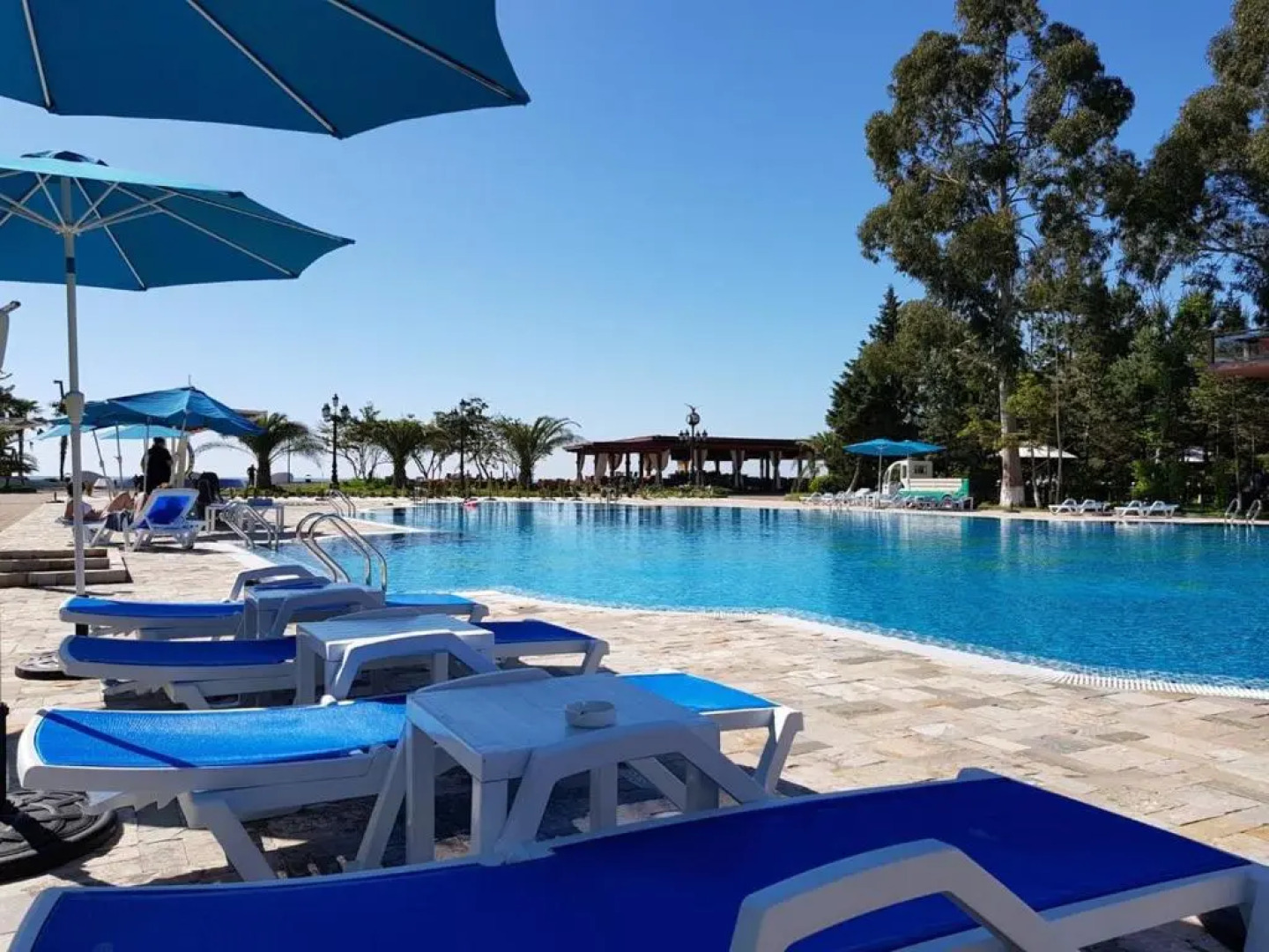 Dreamland Oasis 9 Chakvi