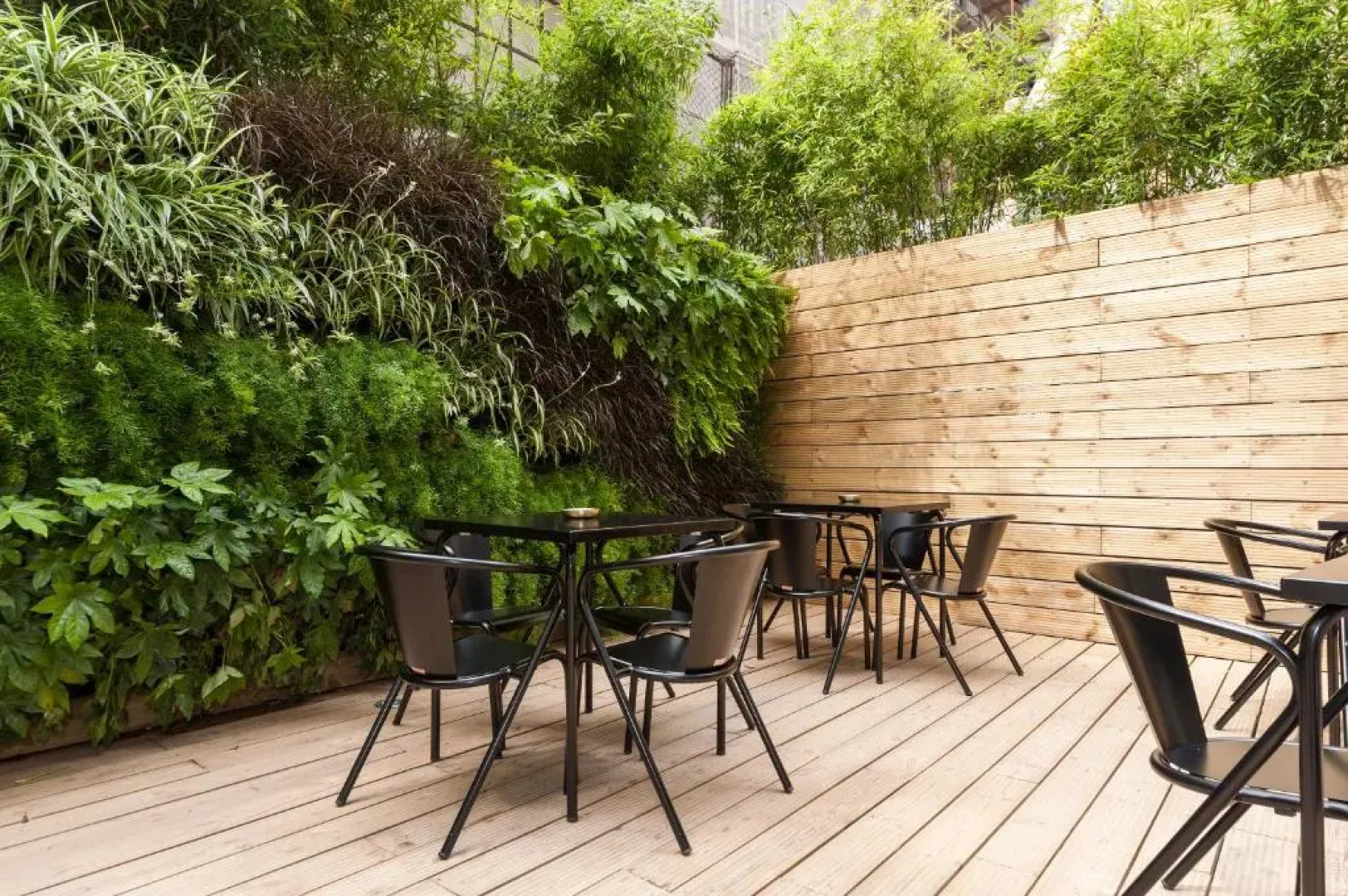 Cheese & Wine Suites