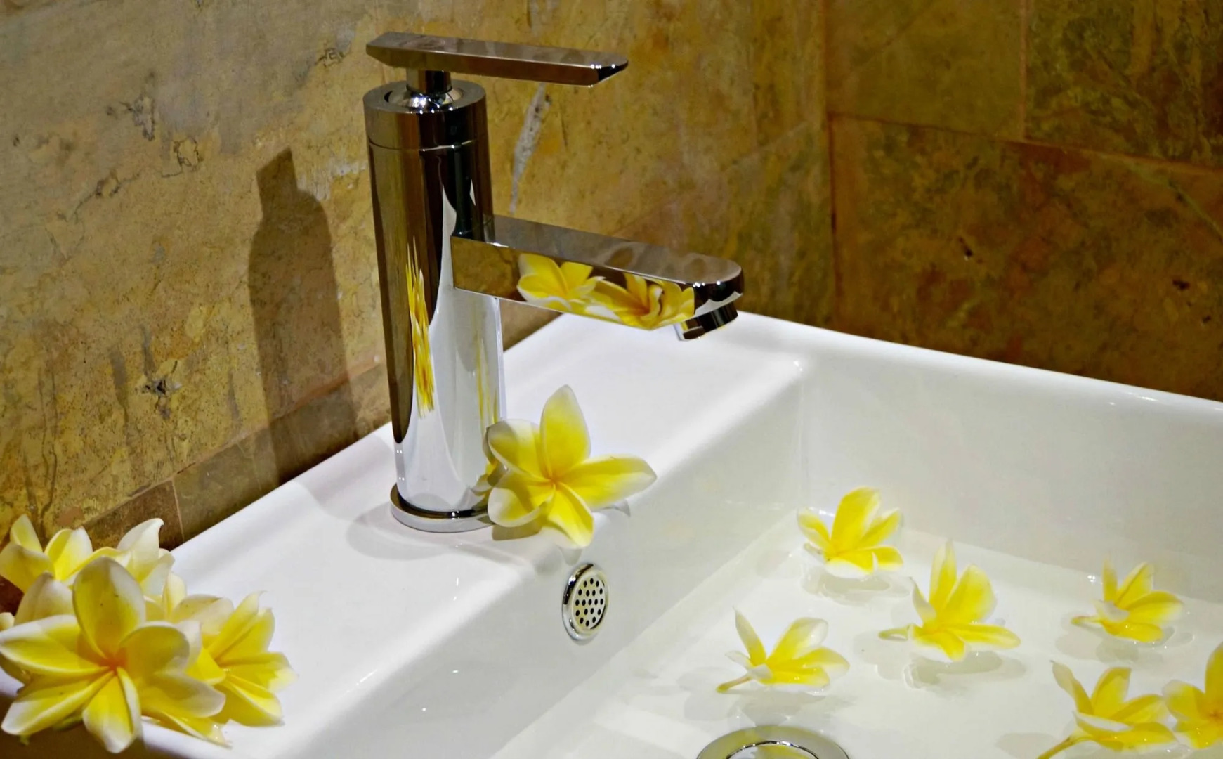 Samanvaya - Adults Only