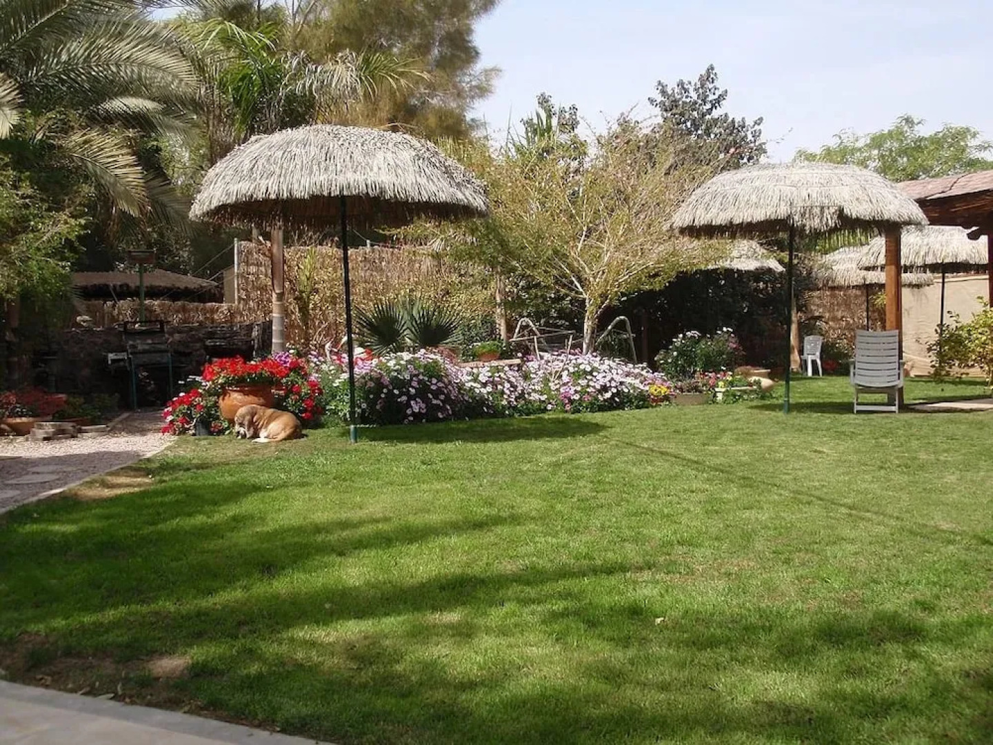 Idan Lodge In The Arava
