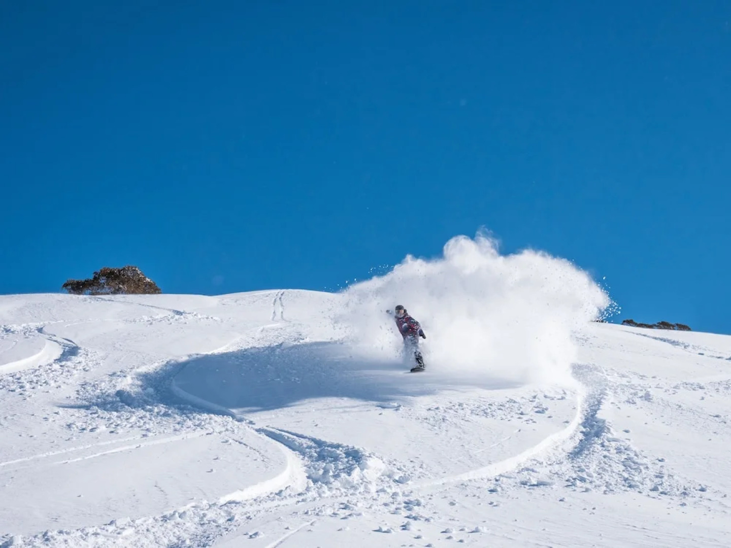 Snowgums on the Lake