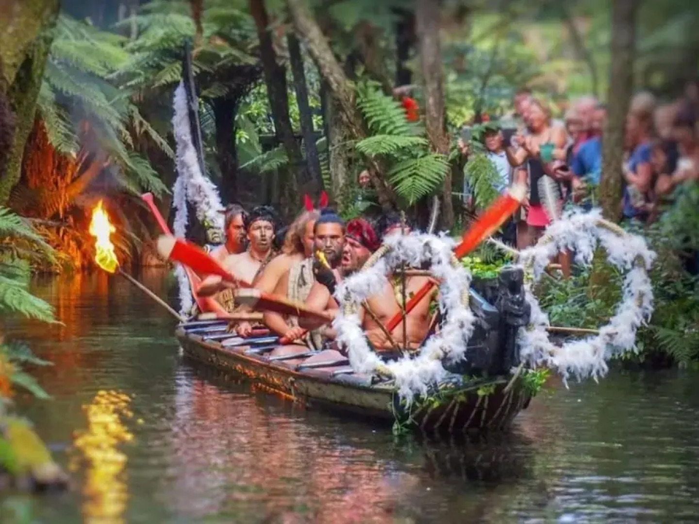 Paradise Valley Lodge