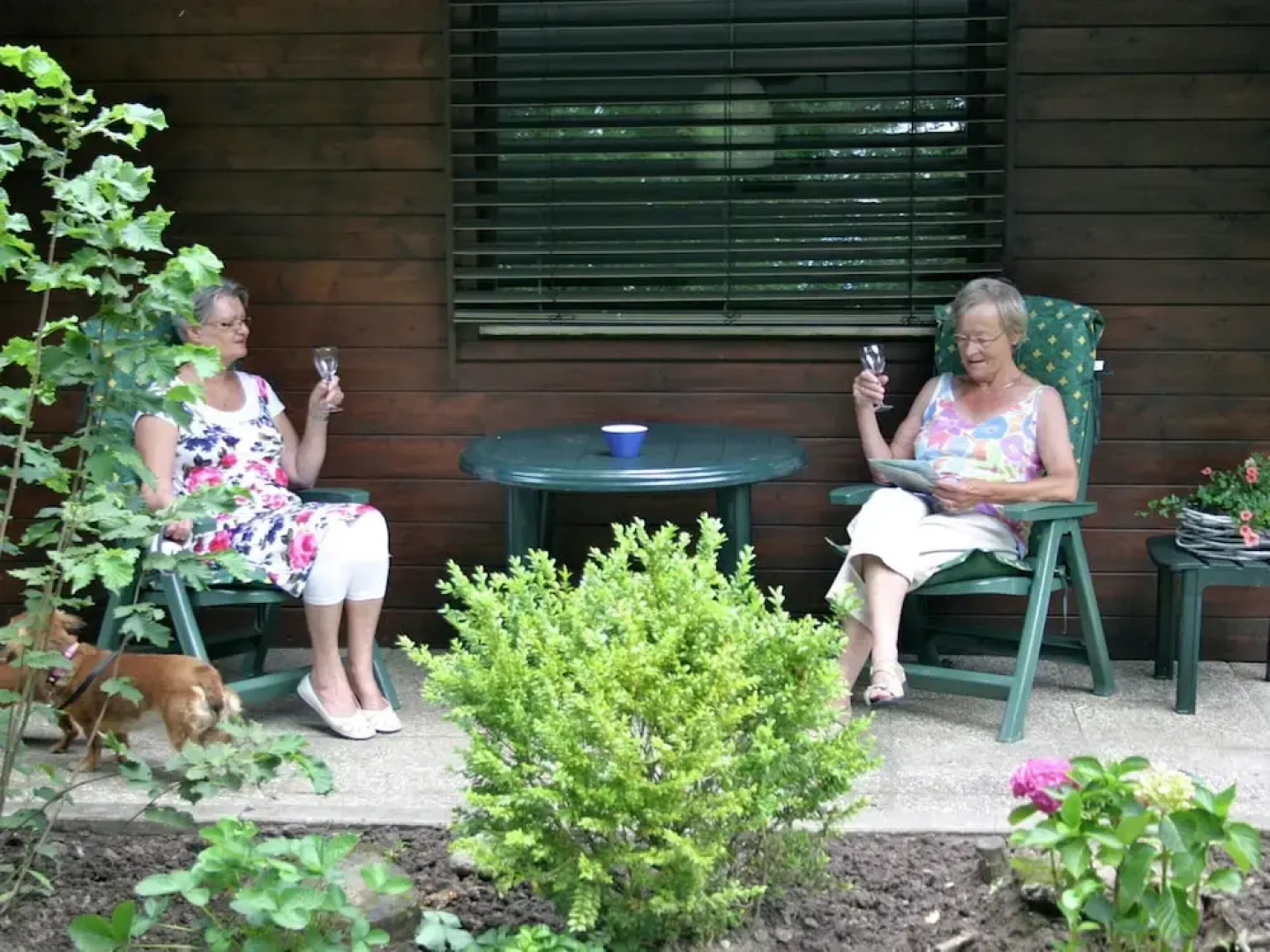Chalet in Ootmarsum on Kuiperberg
