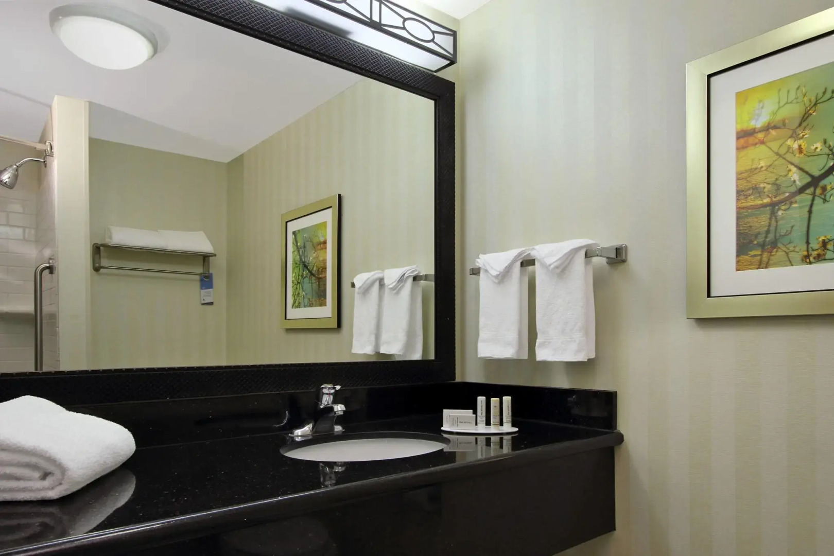 Fairfield Inn & Suites by Marriott Fresno Clovis