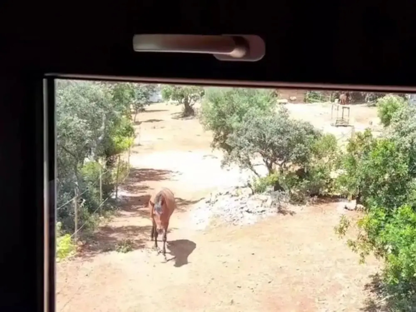 Tiny House Loule Algarve