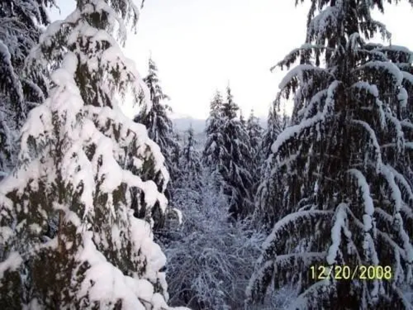 The Country Cedar Inn