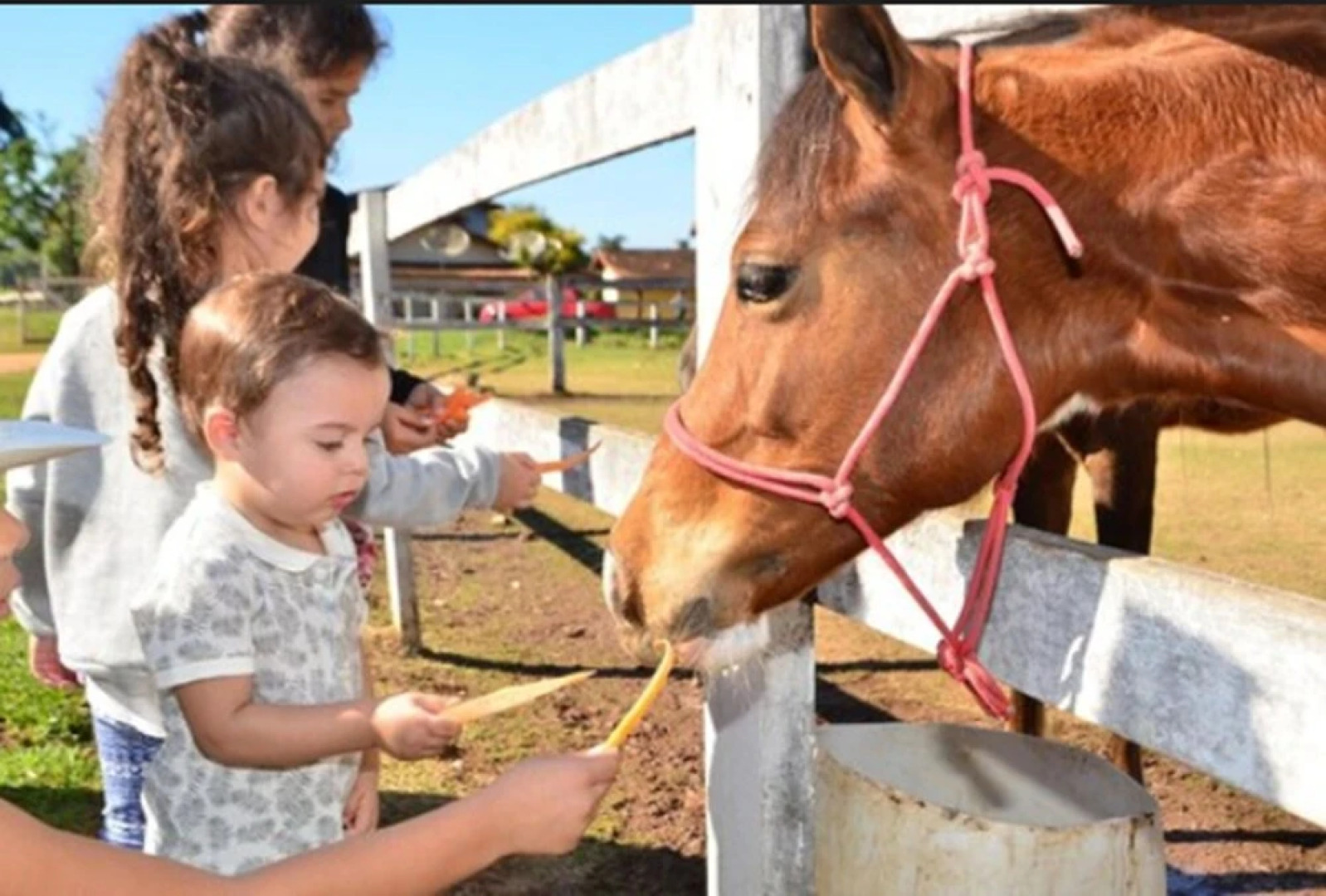 Hotel Fazenda Hípica Atibaia