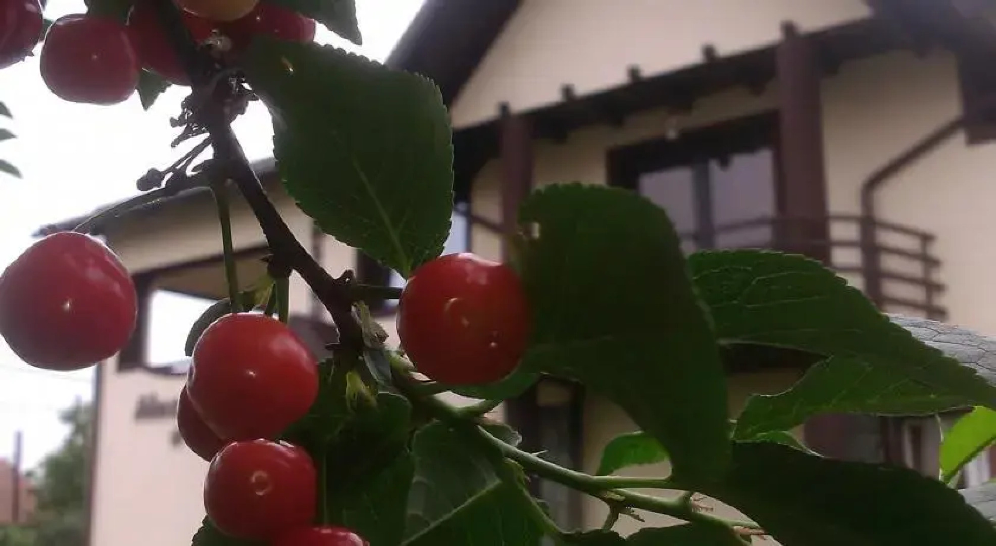 Pensiunea Alex si Tedi